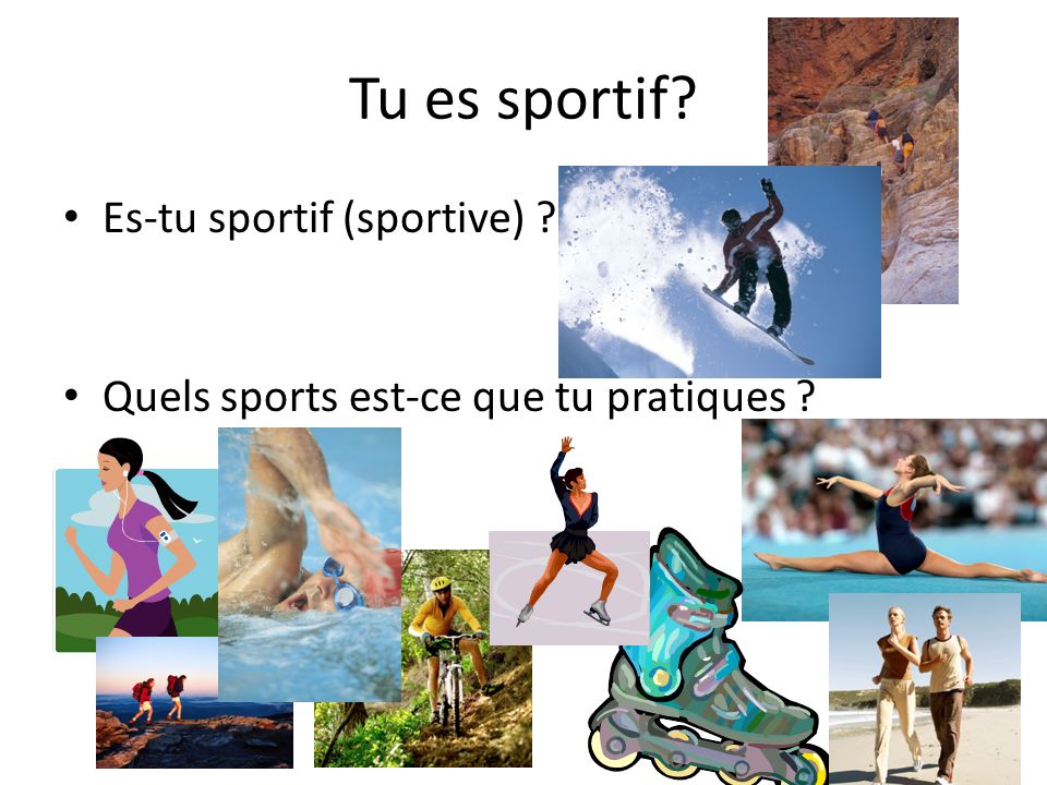 Tu es sportif Es-tu sportif (sportive)