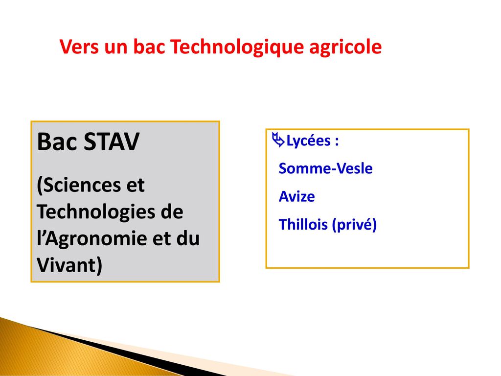 Bac ST2S (Sciences et technologie de la Santé et du Social)