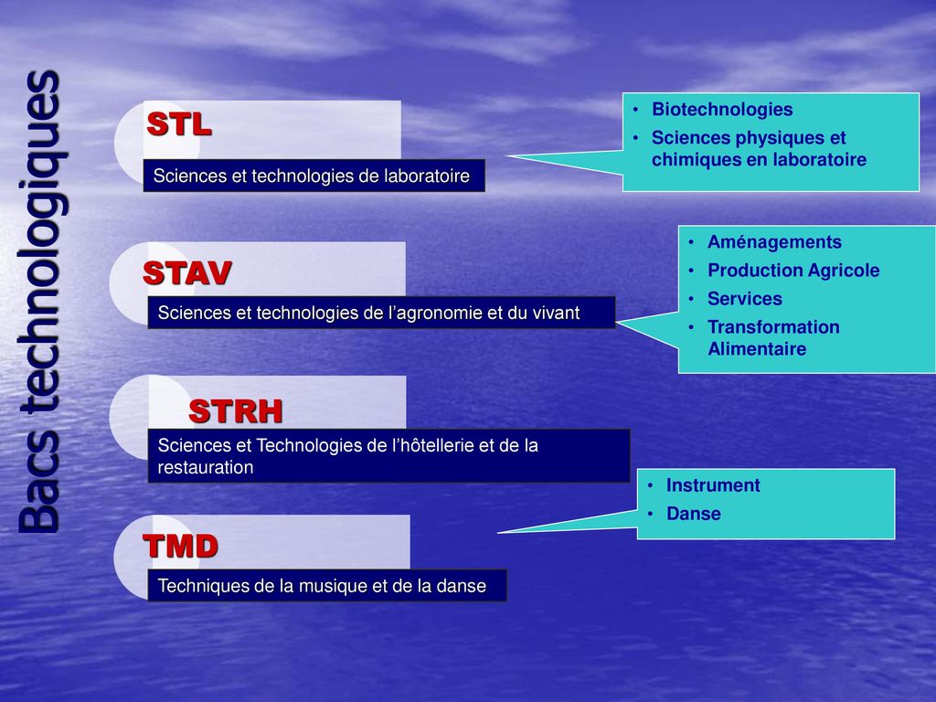 Bacs technologiques STL STAV STRH TMD Biotechnologies