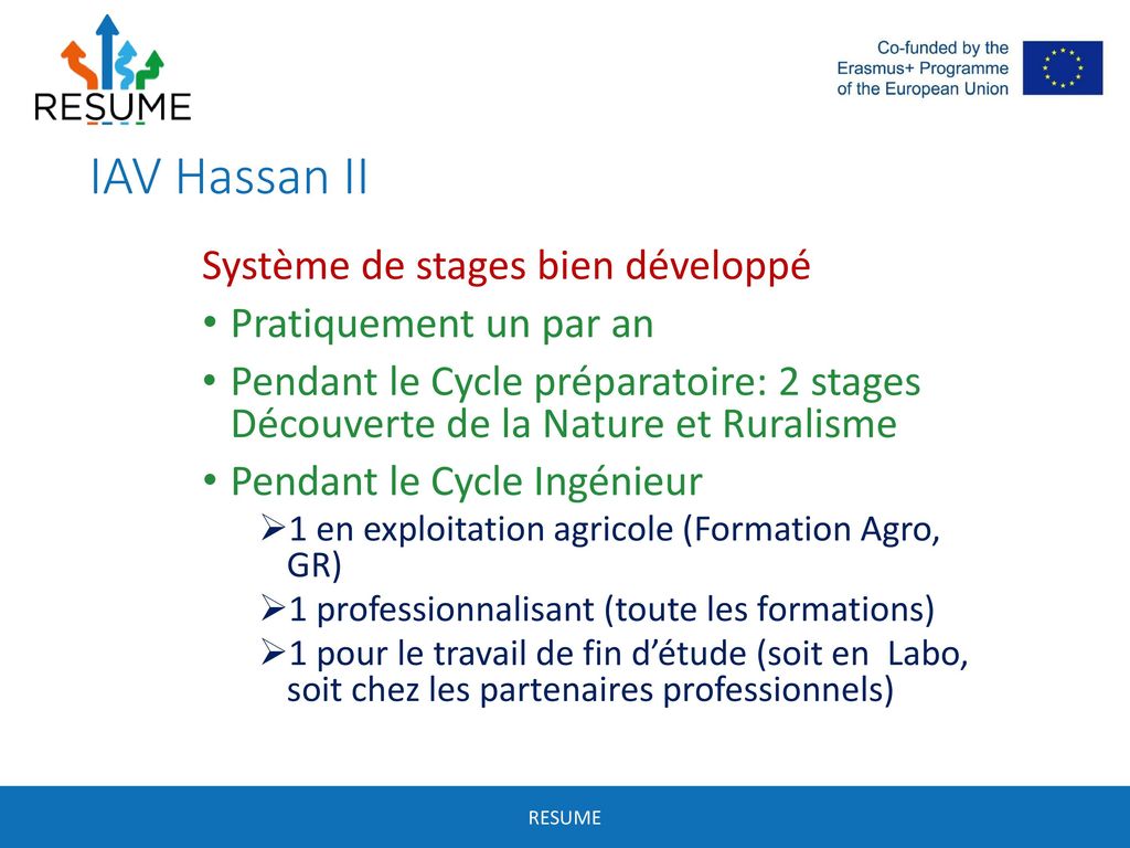 IAV Hassan II Système de stages bien développé Pratiquement un par an