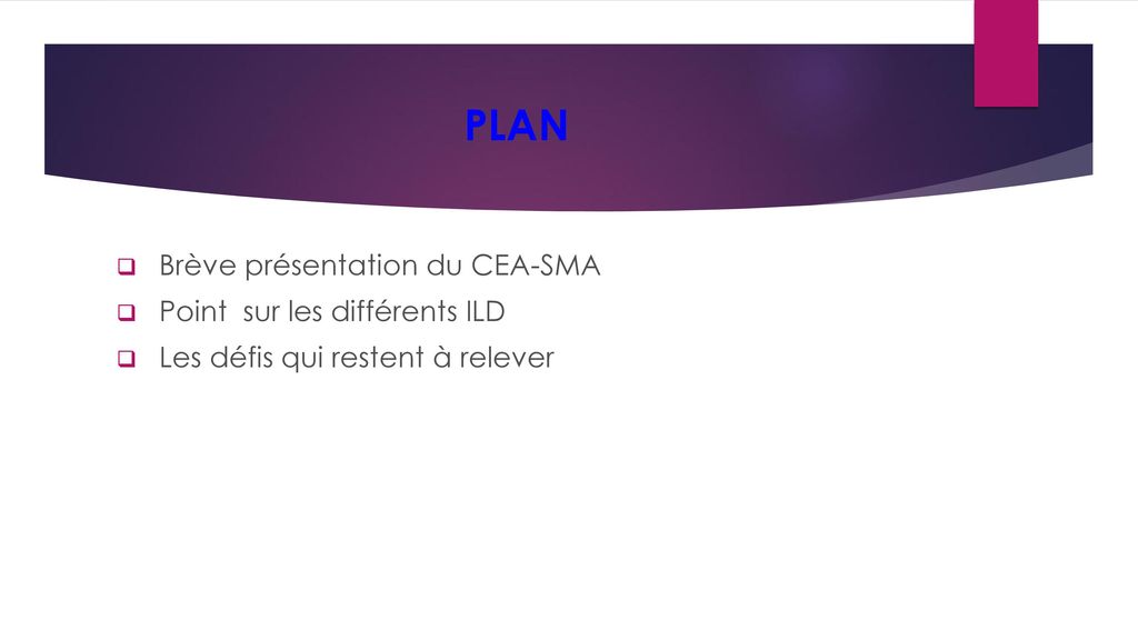 PLAN Brève présentation du CEA-SMA Point sur les différents ILD