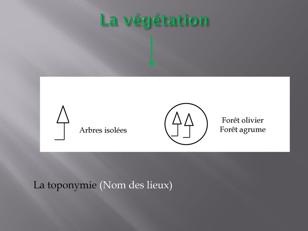 La végétation La toponymie (Nom des lieux) Forêt olivier Forêt agrume