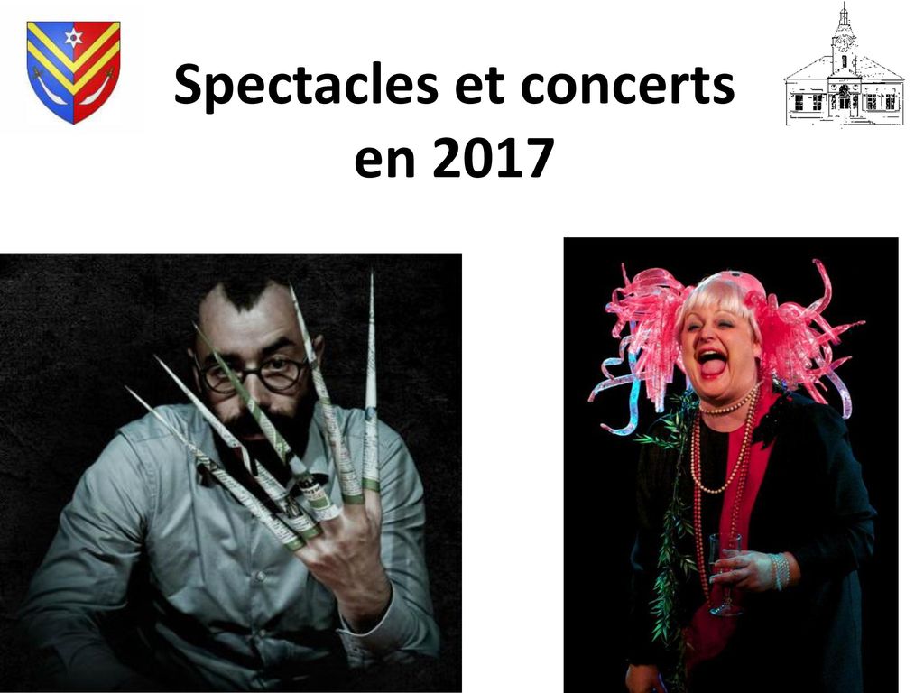 Spectacles et concerts en 2017
