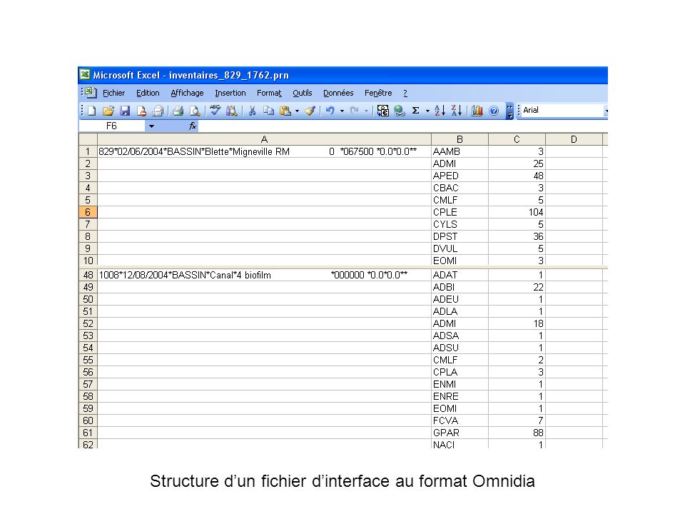 Structure d’un fichier d’interface au format Omnidia