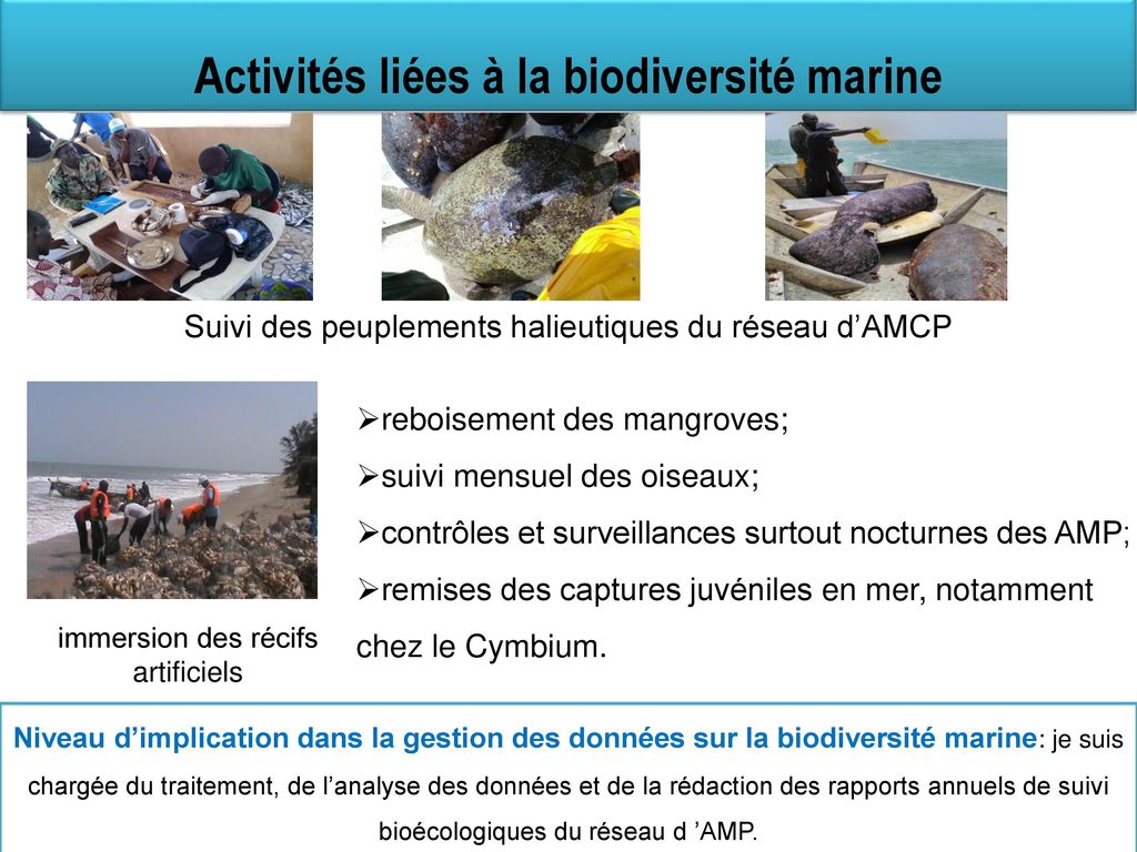 Activités liées à la biodiversité marine