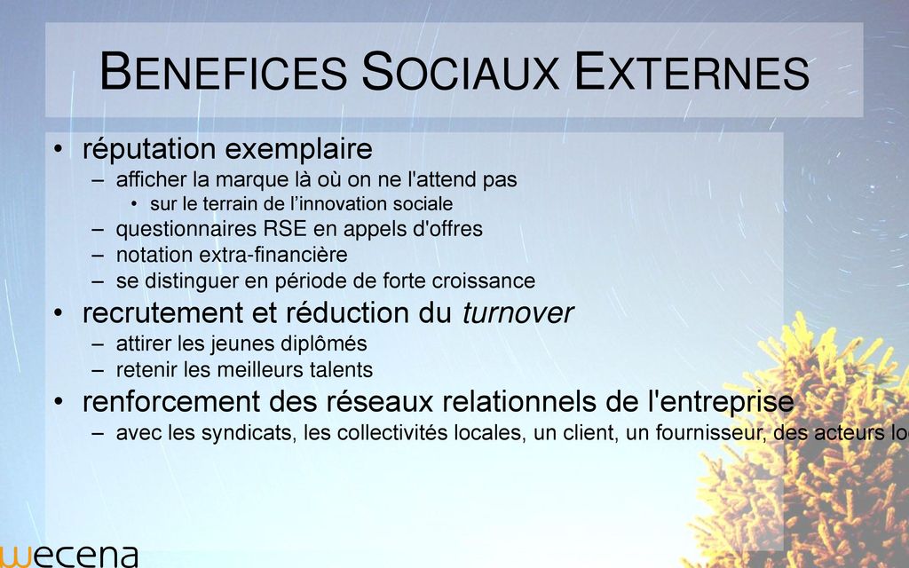 BENEFICES SOCIAUX EXTERNES