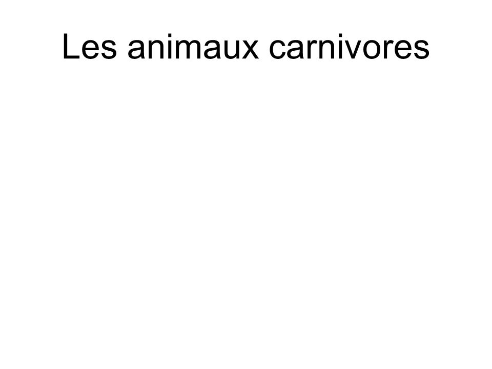 Les animaux carnivores