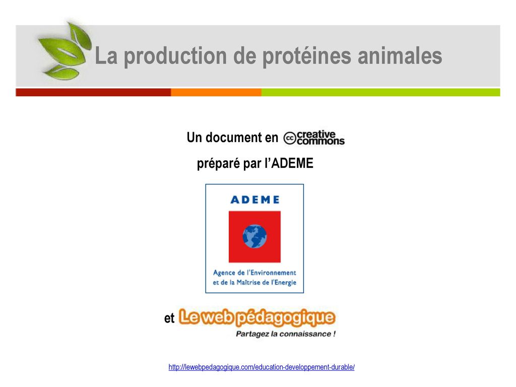 La production de protéines animales