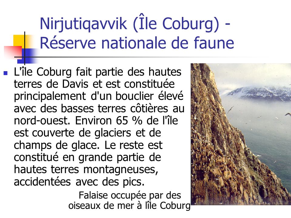Nirjutiqavvik (Île Coburg) - Réserve nationale de faune