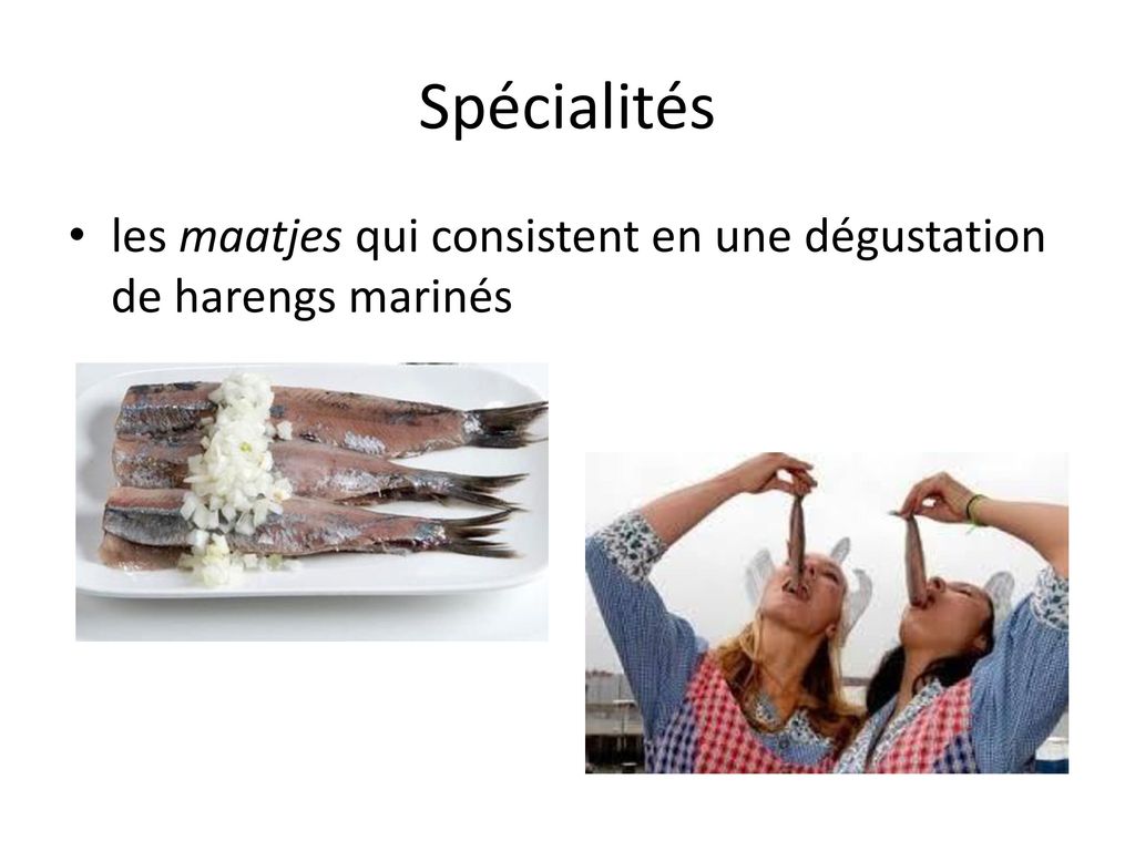 Spécialités les maatjes qui consistent en une dégustation de harengs marinés