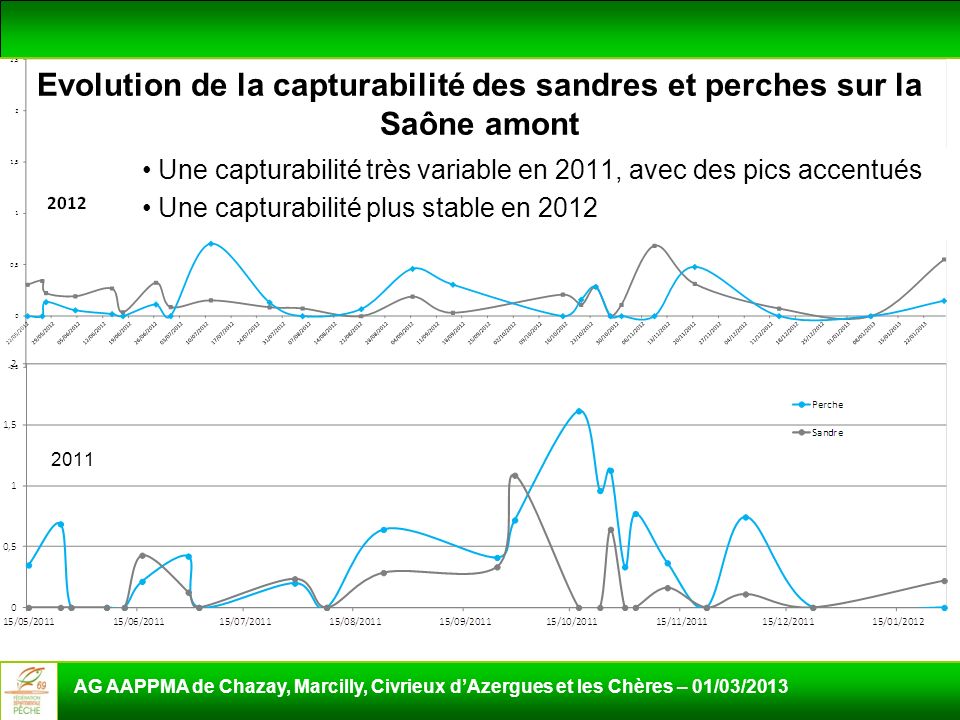 Evolution de la capturabilité des sandres et perches sur la Saône amont