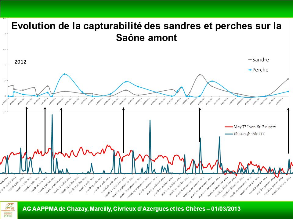 Evolution de la capturabilité des sandres et perches sur la Saône amont