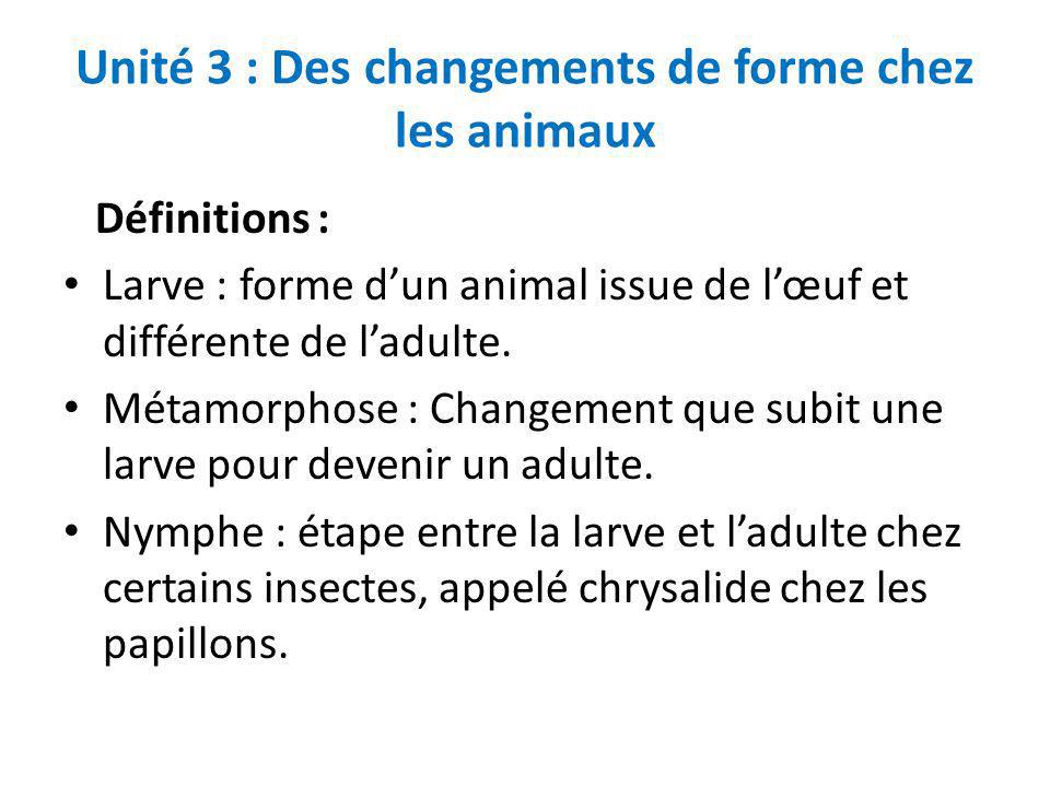 Unité 3 : Des changements de forme chez les animaux