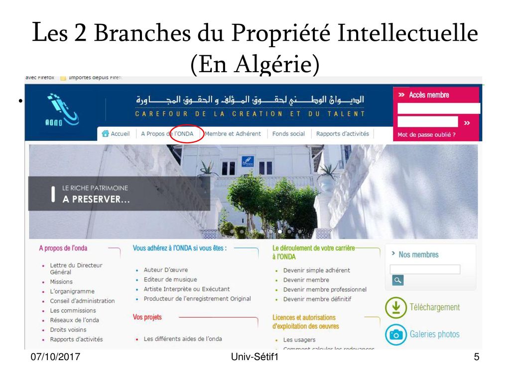 Les 2 Branches du Propriété Intellectuelle (En Algérie)