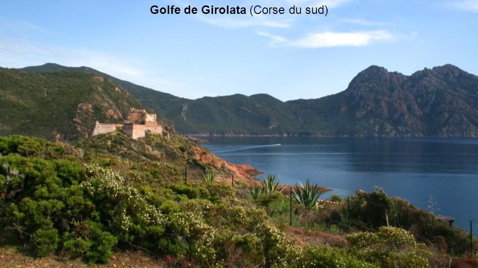 Golfe de Girolata (Corse du sud)