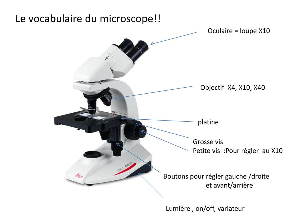 Le vocabulaire du microscope!!