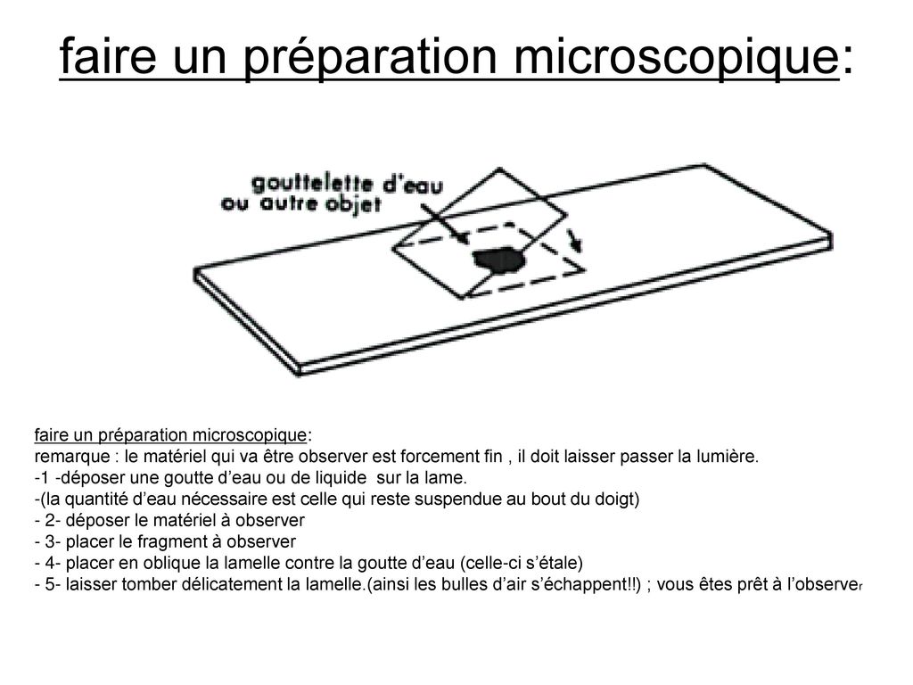 faire un préparation microscopique:
