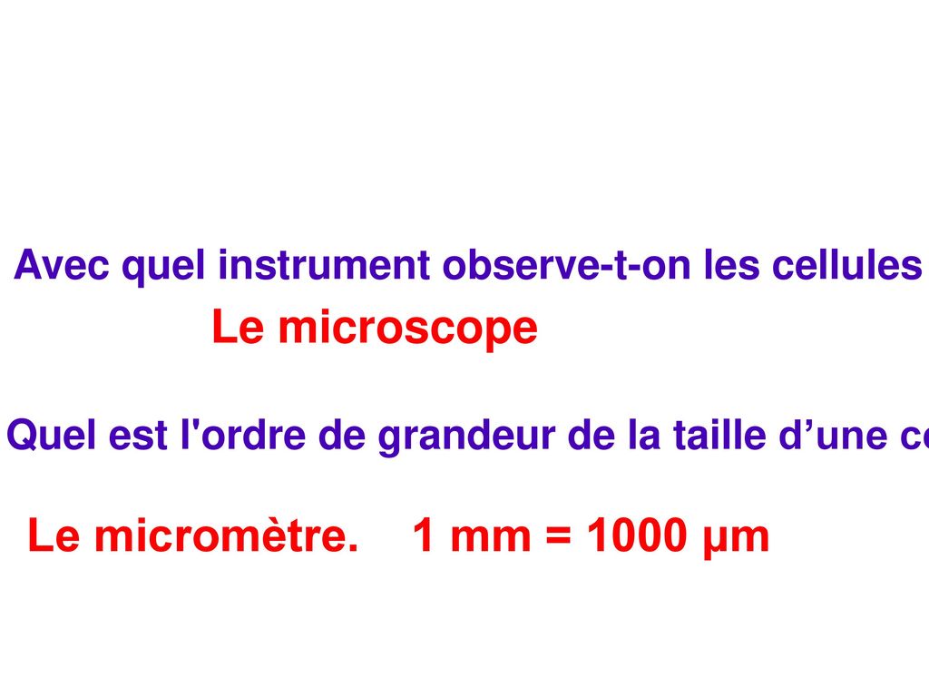 Le microscope Le micromètre. 1 mm = 1000 μm