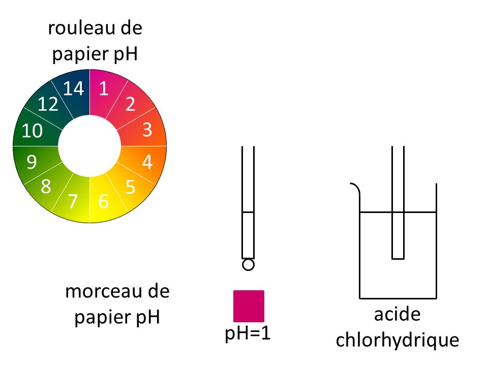 rouleau de papier pH morceau de papier pH acide chlorhydrique pH=1