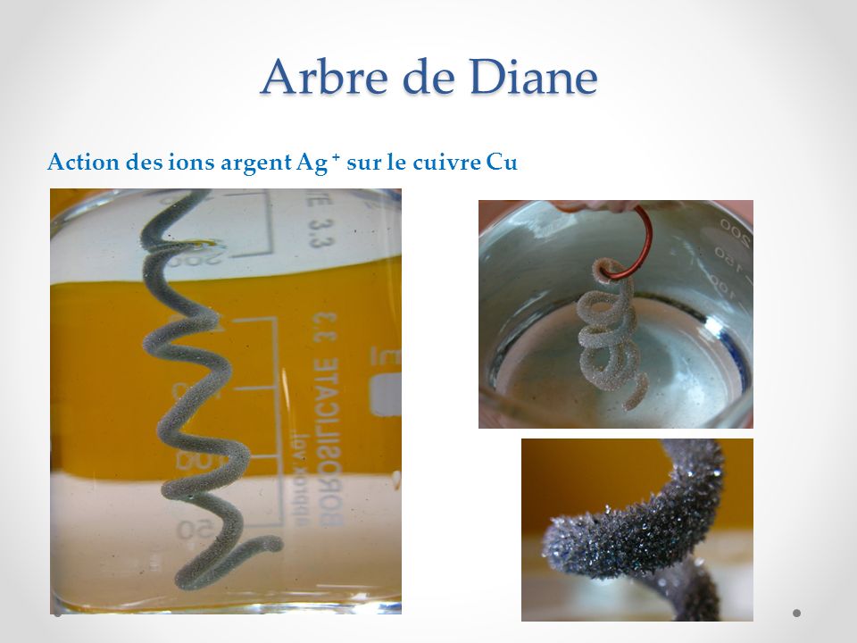 Arbre de Diane Action des ions argent Ag + sur le cuivre Cu