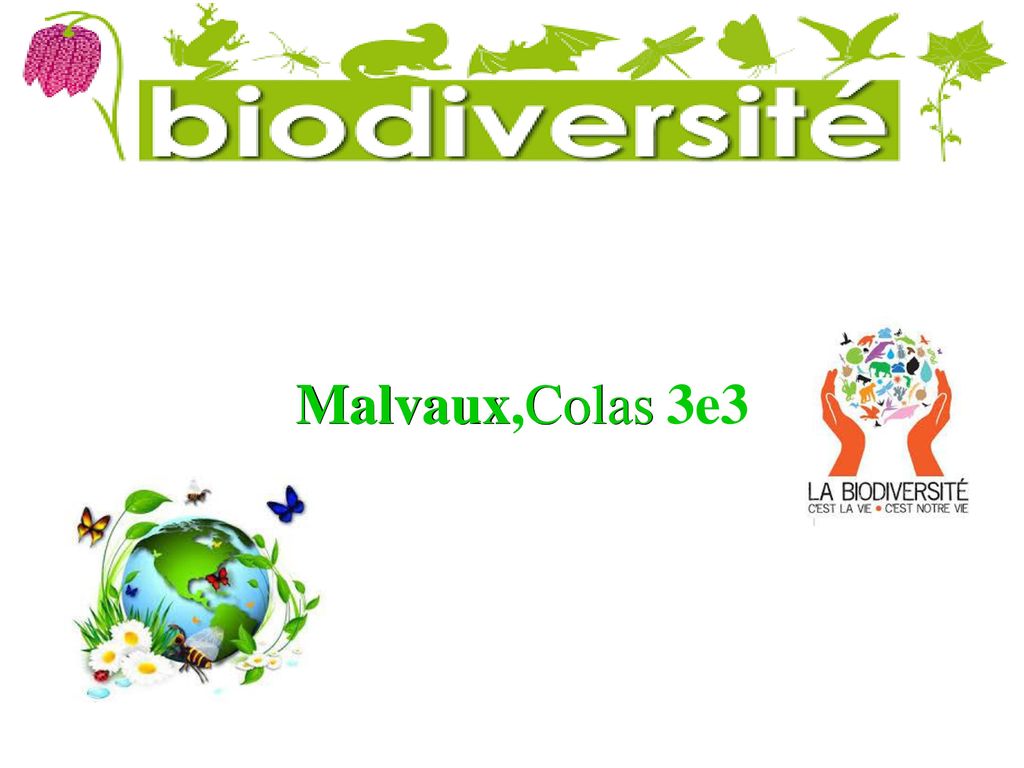 Malvaux,Colas 3e3
