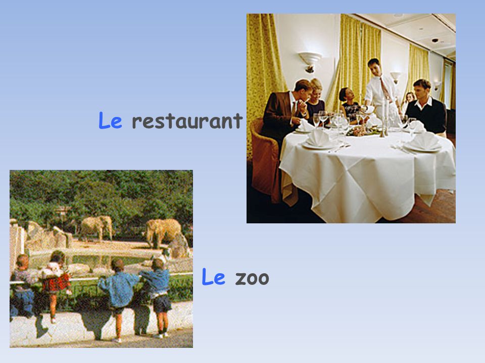 Le restaurant Le zoo