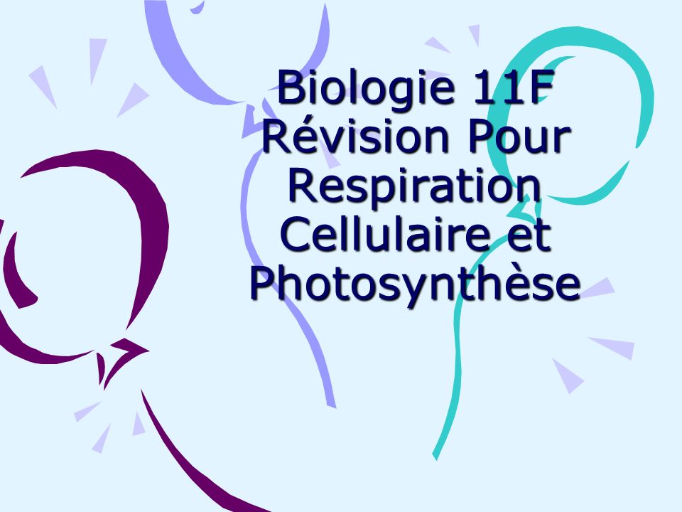Biologie 11F Révision Pour Respiration Cellulaire et Photosynthèse