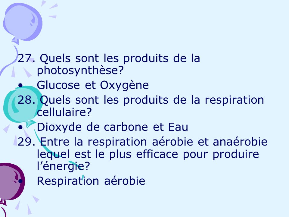 27. Quels sont les produits de la photosynthèse