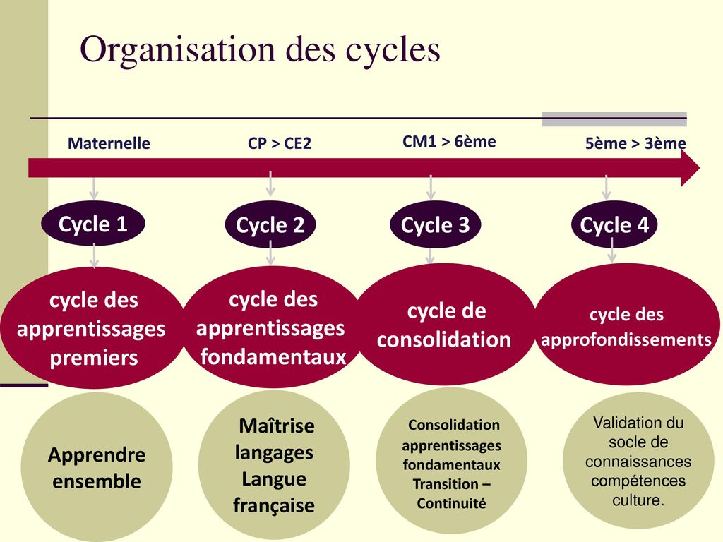 Organisation des cycles