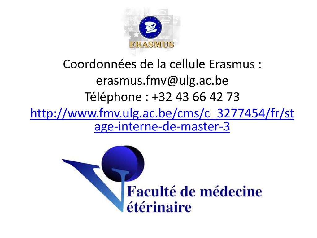 Coordonnées de la cellule Erasmus : erasmus. ac