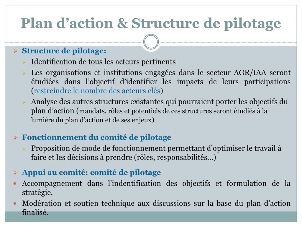 Plan d’action & Structure de pilotage