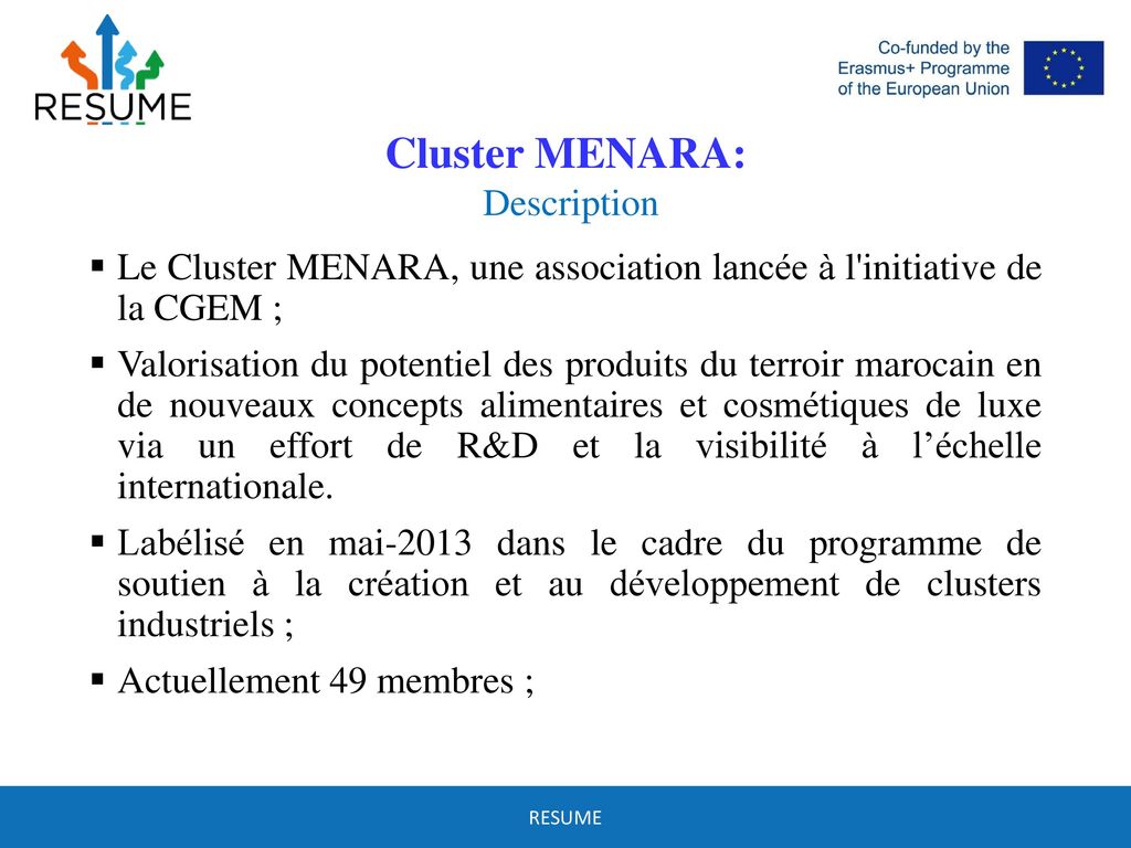 Cluster MENARA: Description