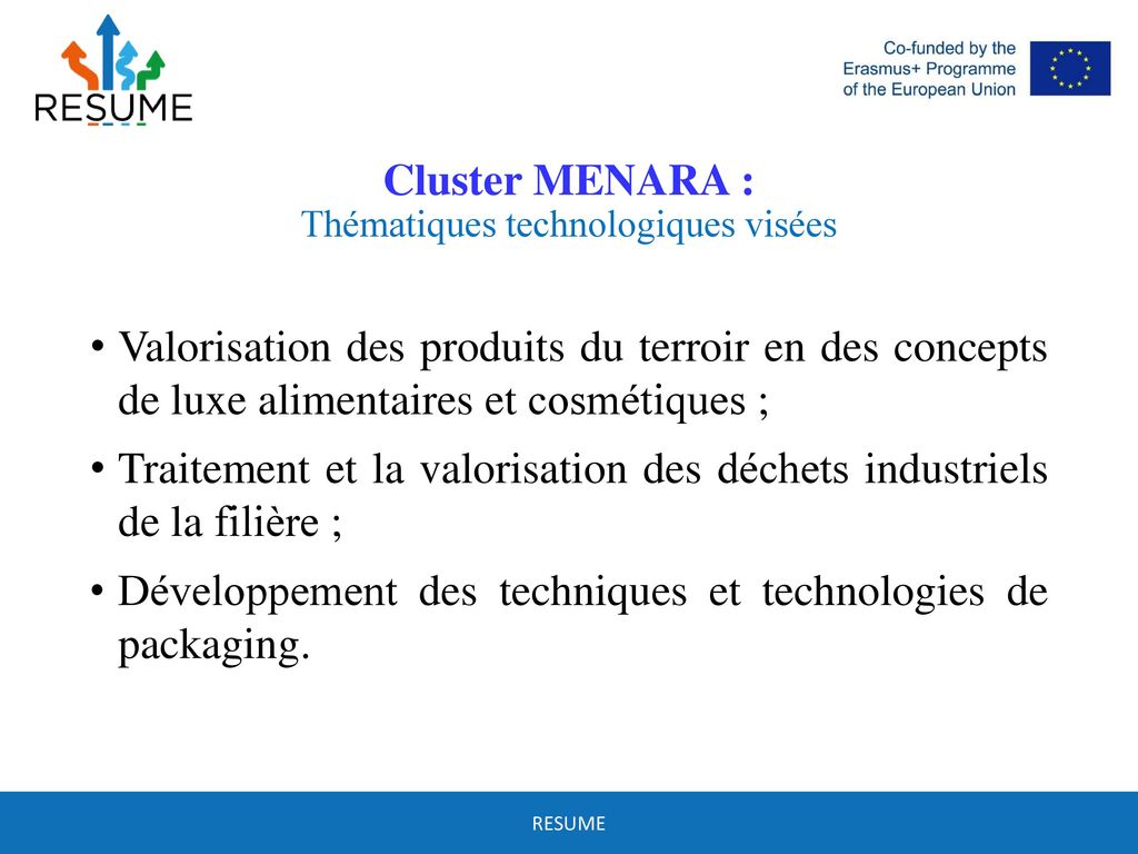 Cluster MENARA : Thématiques technologiques visées
