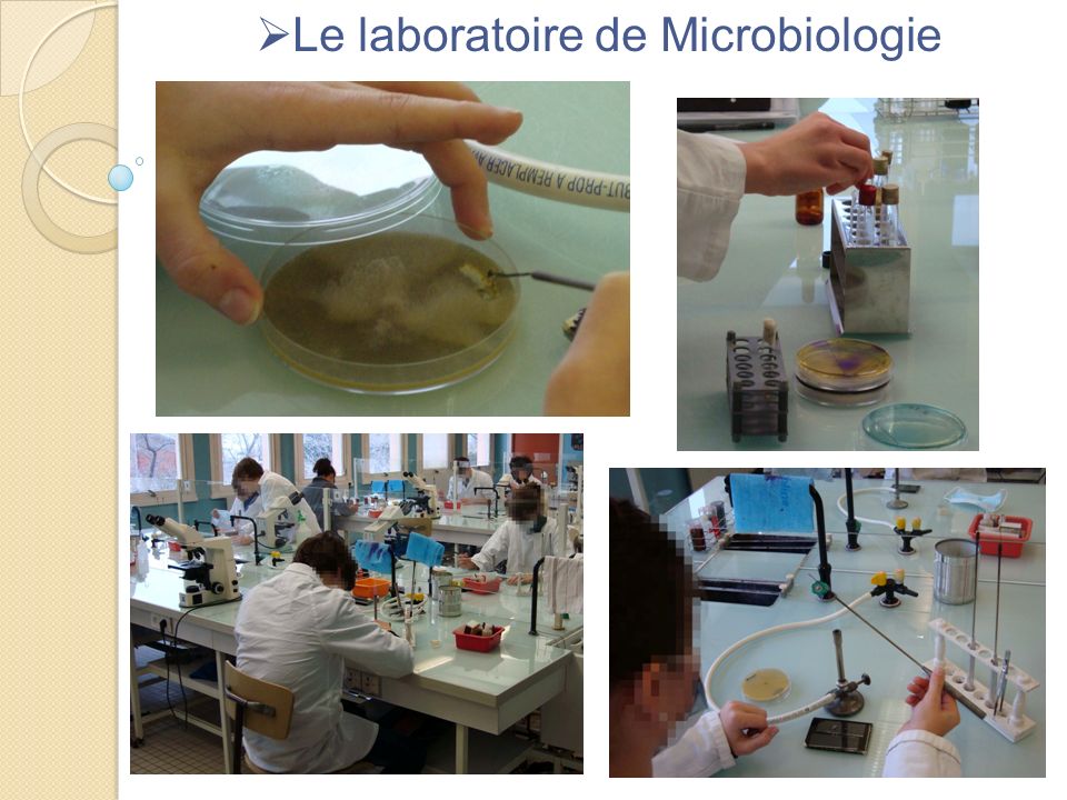 Le laboratoire de Microbiologie
