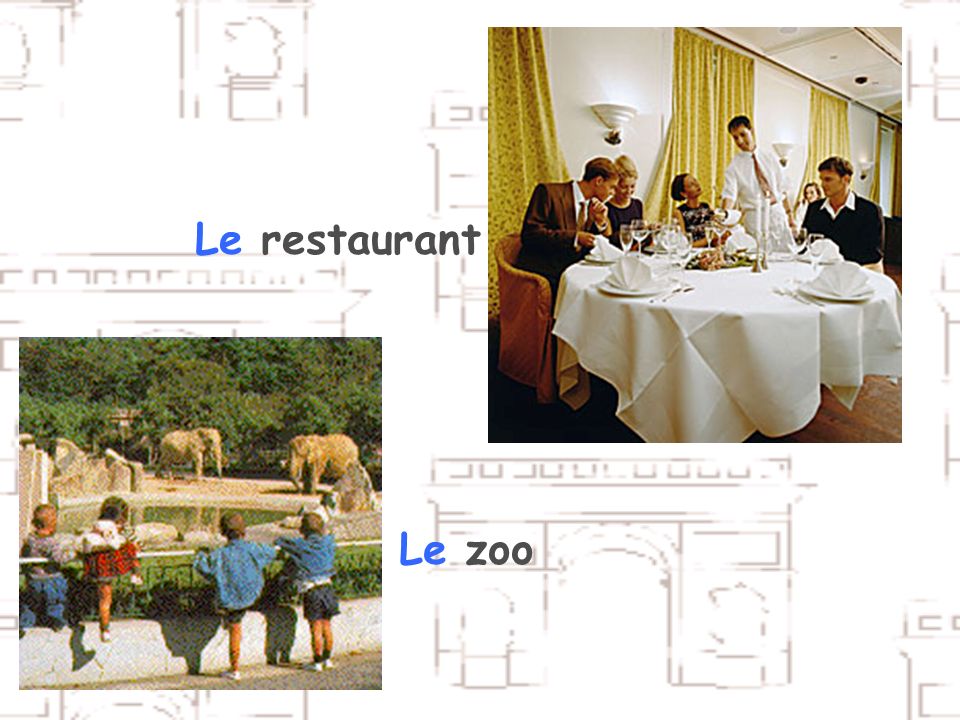 Le restaurant Le zoo
