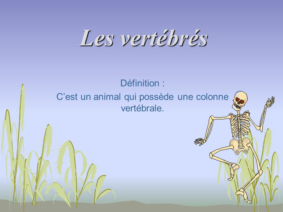 Définition : C’est un animal qui possède une colonne vertébrale.