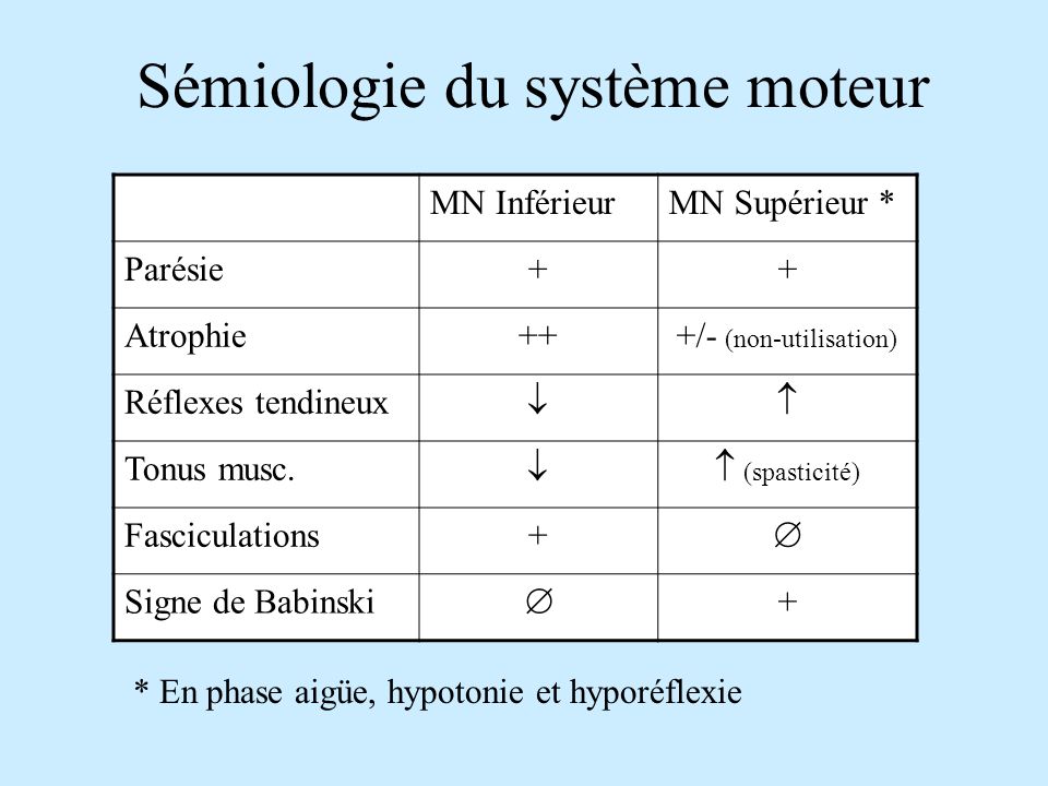 Sémiologie du système moteur