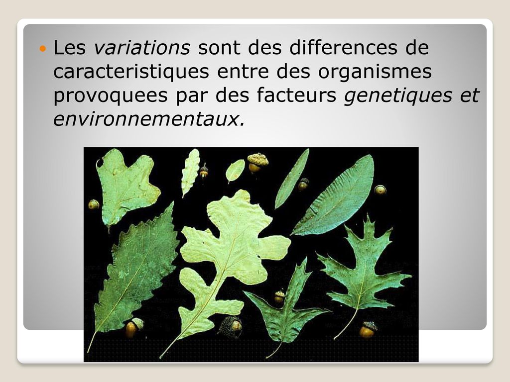 Les variations sont des differences de caracteristiques entre des organismes provoquees par des facteurs genetiques et environnementaux.