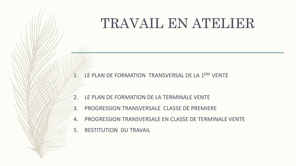 TRAVAIL EN ATELIER LE PLAN DE FORMATION TRANSVERSAL DE LA 1ERE VENTE