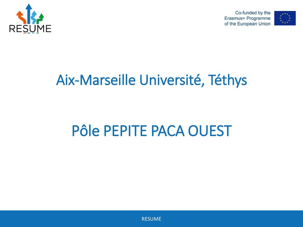 Aix-Marseille Université, Téthys