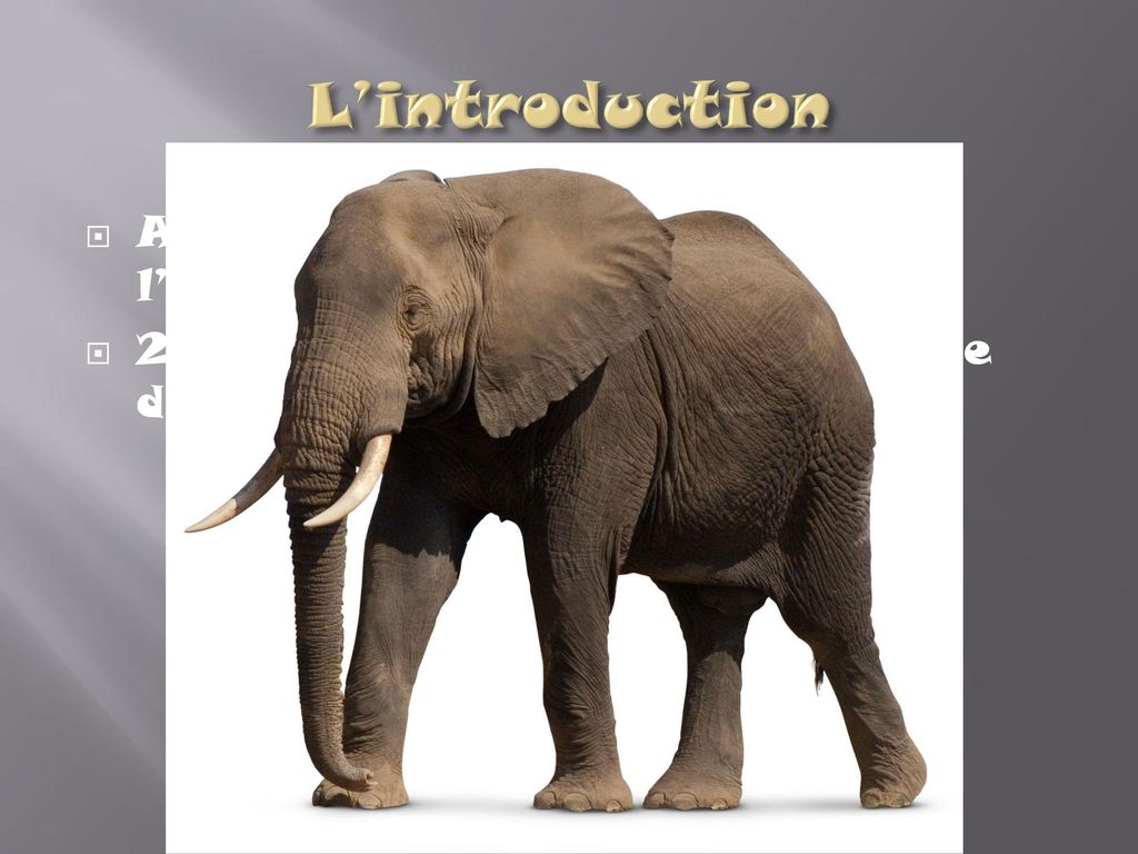 L’introduction Animal en voie de disparition: l’éléphant