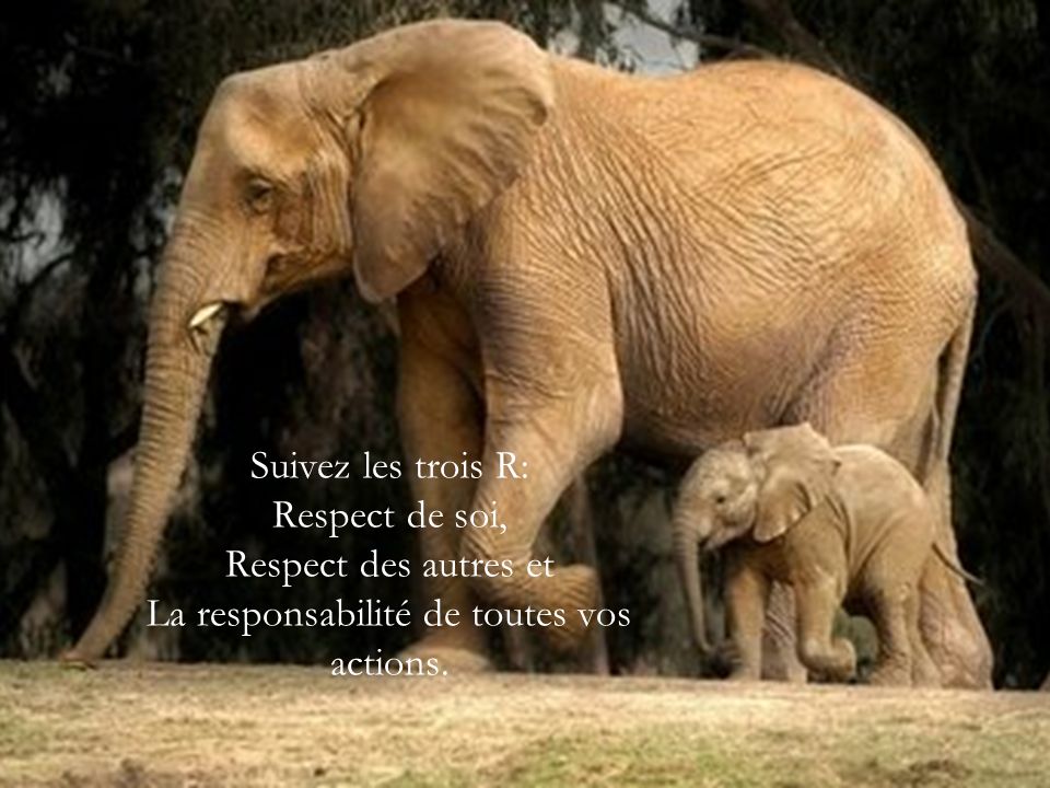 Suivez les trois R: Respect de soi, Respect des autres et La responsabilité de toutes vos actions.