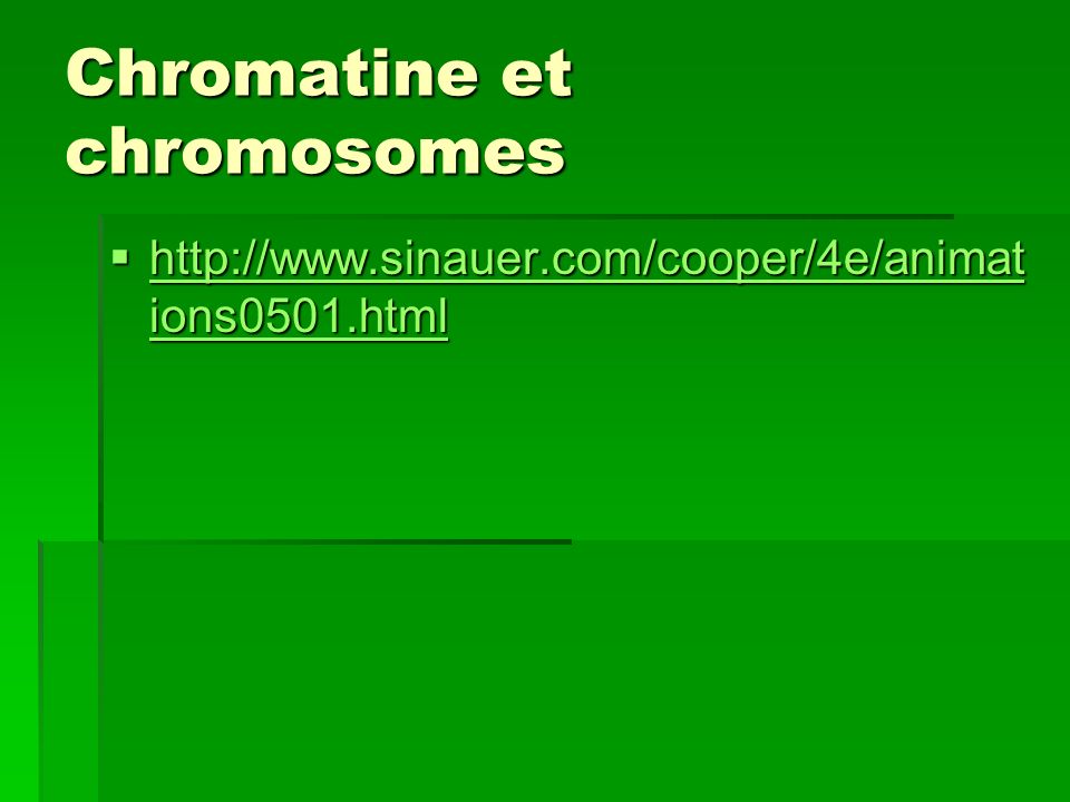 Chromatine et chromosomes