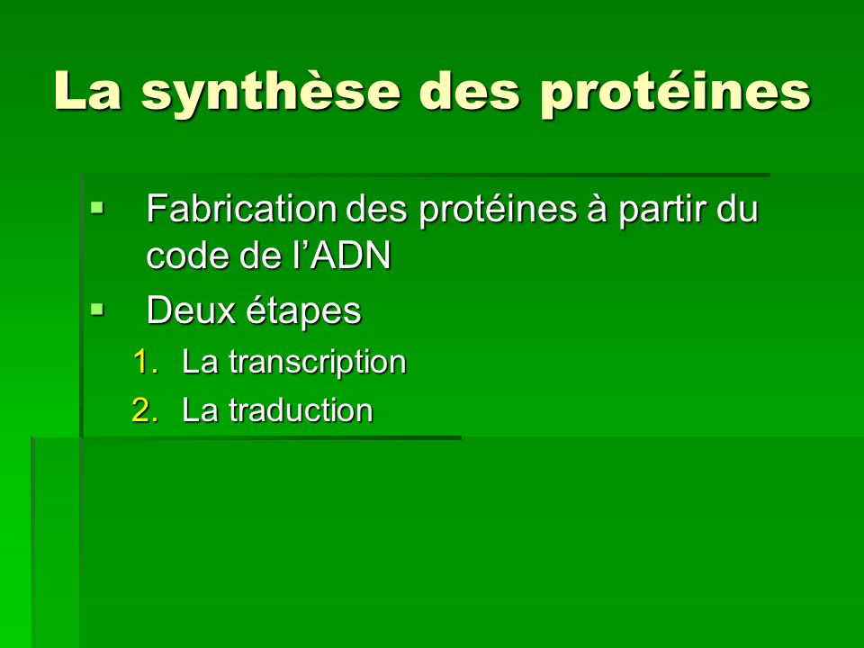 La synthèse des protéines