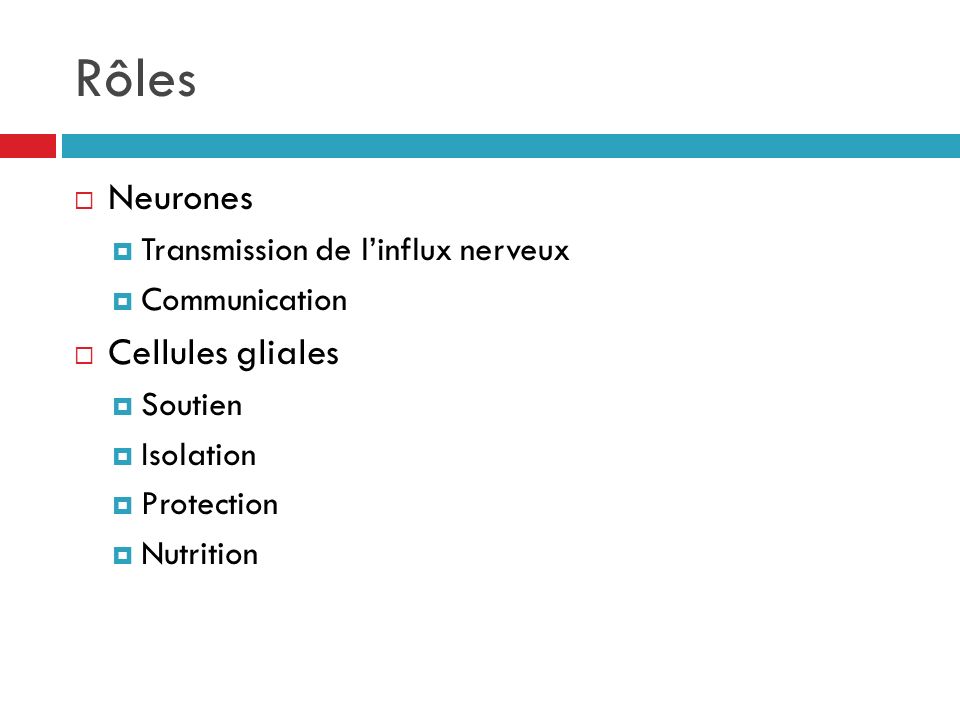 Rôles Neurones Cellules gliales Transmission de l’influx nerveux