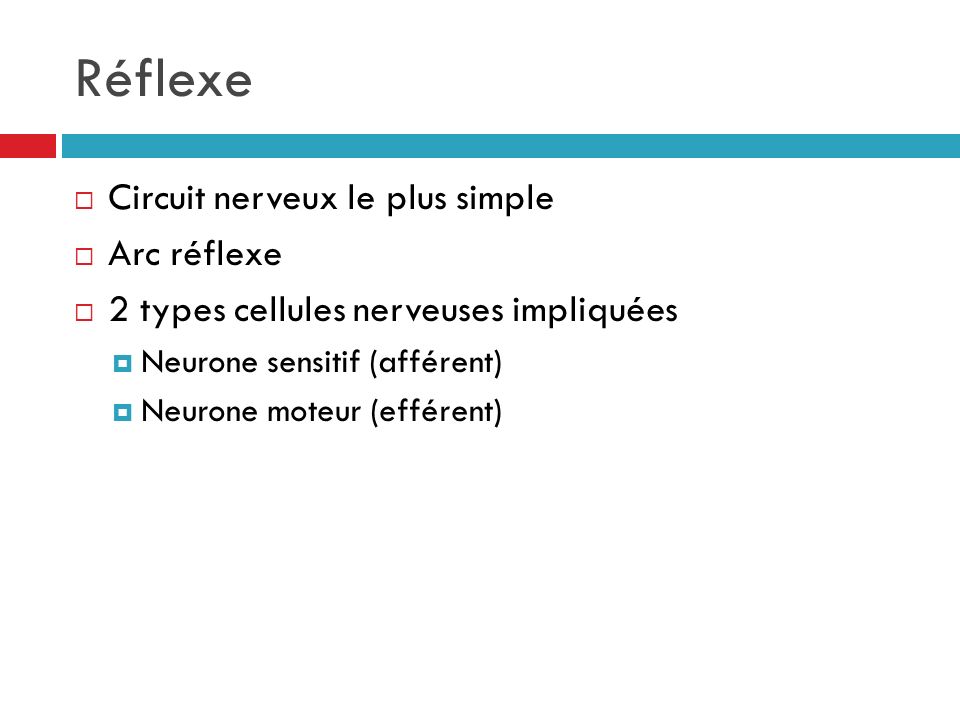 Réflexe Circuit nerveux le plus simple Arc réflexe