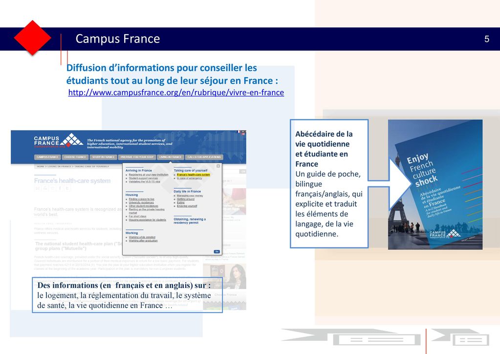 Campus France 5. Diffusion d’informations pour conseiller les étudiants tout au long de leur séjour en France :