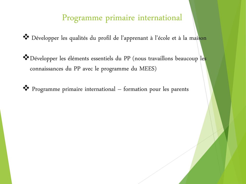 Programme primaire international