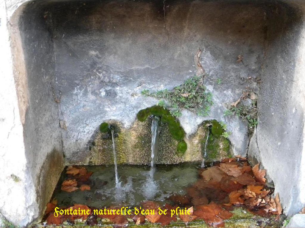 Fontaine naturelle d’eau de pluie