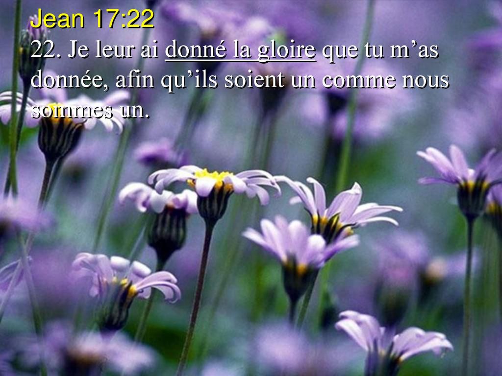 Jean 17:22 22.
